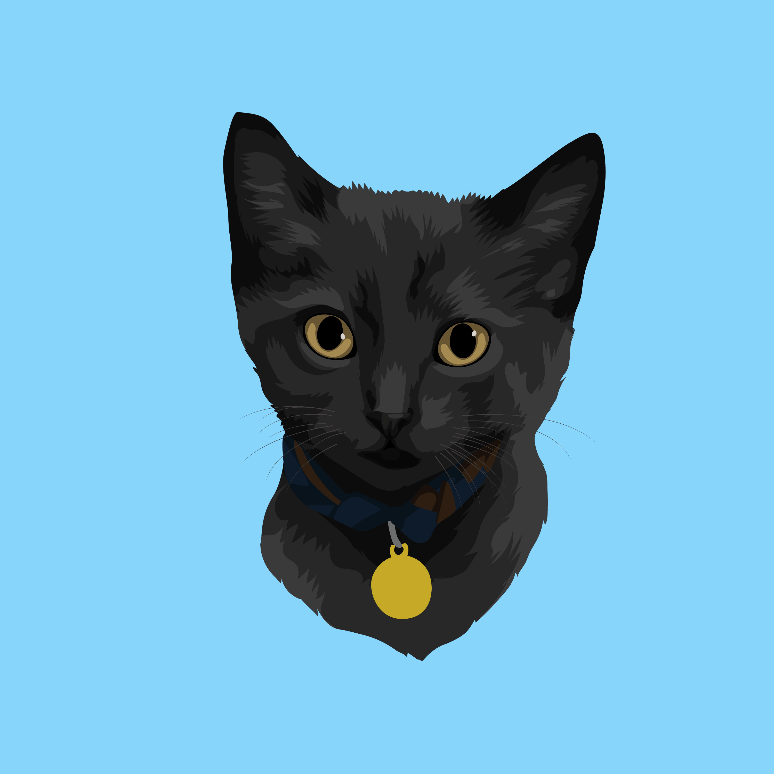 taro the cat